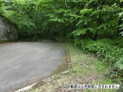 栃木県那須郡那須町 土地 110万円の国税庁公売物件 #1