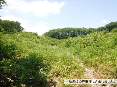 北海道北広島市 島松駅 土地 480万円の国税庁公売物件 #1