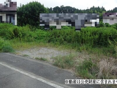 神奈川県南足柄市 富士フィルム前駅4分 土地 1,160万円の国税庁公売物件 #1