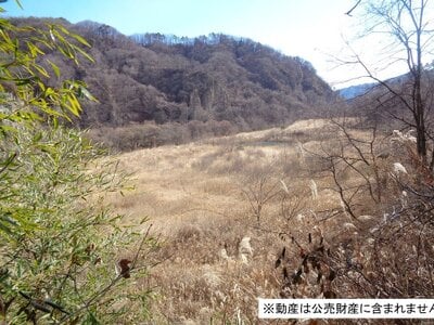 山梨県北杜市 小淵沢駅 土地 3,830万円の国税庁公売物件 #1