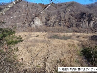 山梨県北杜市 小淵沢駅 土地 3,830万円の国税庁公売物件 #2