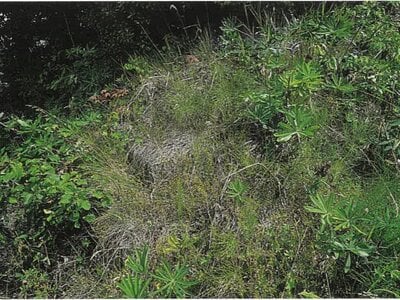 北海道北見市 西北見駅 戸建て 470万円の競売物件 #13