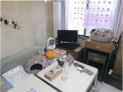 群馬県高崎市 群馬総社駅 戸建て 297万円の競売物件 #6