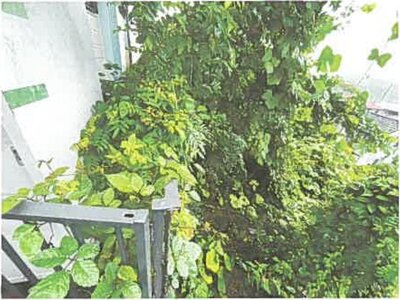 埼玉県日高市 高麗駅14分 戸建て 692万円の競売物件 #17