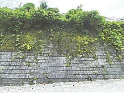 埼玉県日高市 高麗駅14分 戸建て 692万円の競売物件 #19