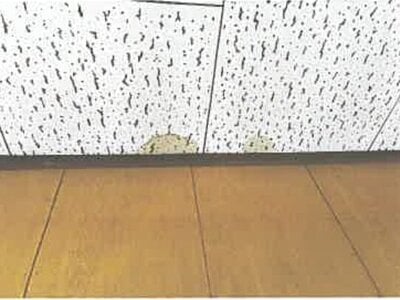 埼玉県所沢市 下山口駅10分 戸建て 464万円の競売物件 #4