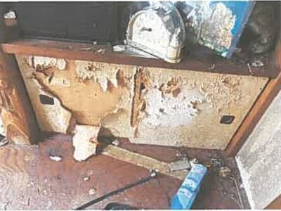 埼玉県所沢市 下山口駅10分 戸建て 464万円の競売物件 #7