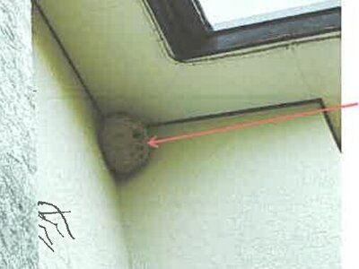 埼玉県所沢市 東村山駅20分 戸建て 4,555万円の競売物件 #6