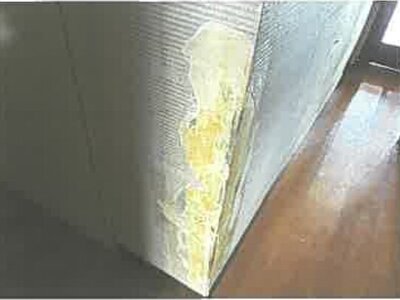 埼玉県所沢市 航空公園駅19分 マンション「所沢パークタウングリーン並木住宅」688万円の競売物件 #7