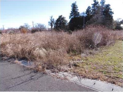 群馬県邑楽郡邑楽町 多々良駅9分 土地 1,974万円の競売物件 #2