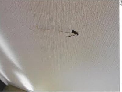 群馬県太田市 細谷駅 戸建て 798万円の競売物件 #9