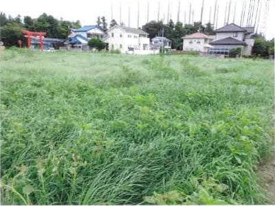 (値下げ) 群馬県太田市 細谷駅22分 農地 37万円の競売物件 #3