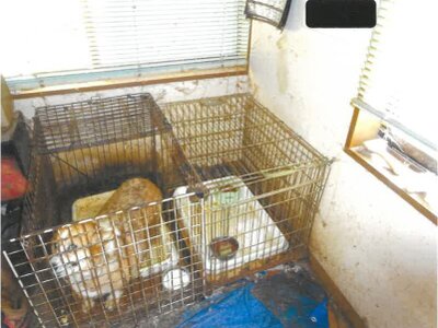 富山県氷見市 島尾駅 戸建て 214万円の競売物件 #8