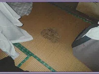 (値下げ) 山梨県笛吹市 石和温泉駅 戸建て 466万円の競売物件 #39