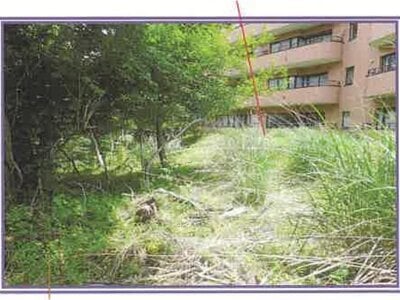 山梨県南都留郡山中湖村 マンション「ライオンズヴィラ山中湖ファーストウイング」277万円の競売物件 #20