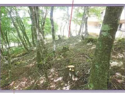 山梨県南都留郡山中湖村 マンション「ライオンズヴィラ山中湖ファーストウイング」277万円の競売物件 #26