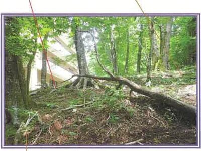 山梨県南都留郡山中湖村 マンション「ライオンズヴィラ山中湖ファーストウイング」277万円の競売物件 #28