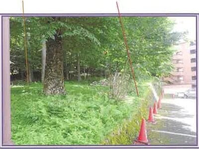 山梨県南都留郡山中湖村 マンション「ライオンズヴィラ山中湖ファーストウイング」277万円の競売物件 #29