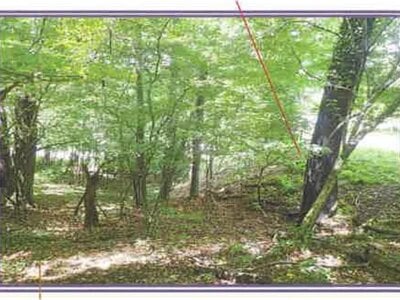 山梨県南都留郡山中湖村 マンション「ライオンズヴィラ山中湖ファーストウイング」277万円の競売物件 #31