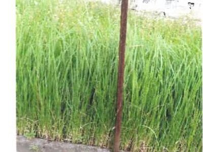 宮崎県都城市 西都城駅 戸建て 2,071万円の競売物件 #27