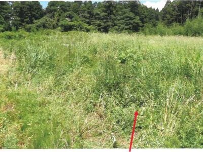 宮崎県都城市 西都城駅 戸建て 2,071万円の競売物件 #29