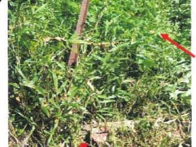 宮崎県都城市 西都城駅 戸建て 2,071万円の競売物件 #31