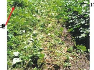 宮崎県都城市 西都城駅 戸建て 2,071万円の競売物件 #32