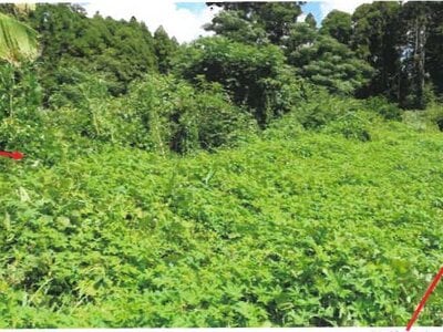 宮崎県都城市 西都城駅 戸建て 2,071万円の競売物件 #33