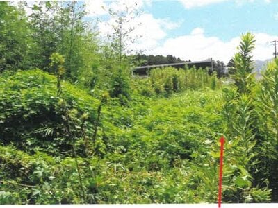 宮崎県都城市 西都城駅 戸建て 2,071万円の競売物件 #35