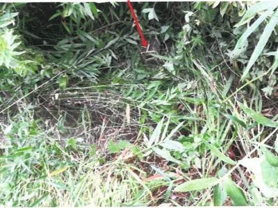 宮崎県都城市 西都城駅 戸建て 2,071万円の競売物件 #36