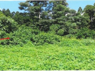 宮崎県都城市 西都城駅 戸建て 2,071万円の競売物件 #37