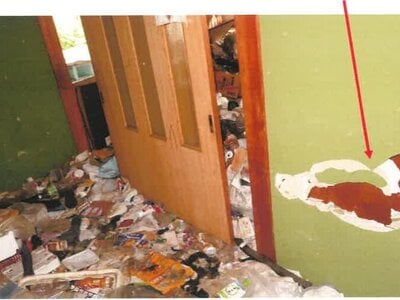 宮崎県東諸県郡綾町 戸建て 206万円の競売物件 #9