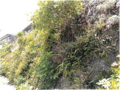 (値下げ) 宮崎県延岡市 南延岡駅10分 戸建て 107万円の競売物件 #17