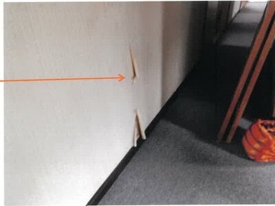 (値下げ) 宮崎県小林市 小林駅28分 戸建て 142万円の競売物件 #12