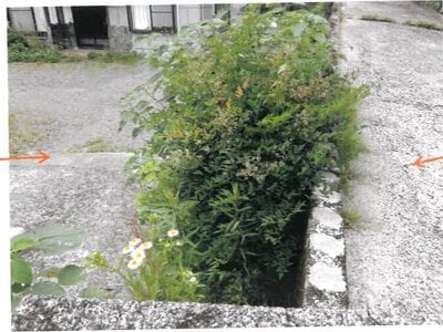 (値下げ) 宮崎県小林市 小林駅28分 戸建て 142万円の競売物件 #21