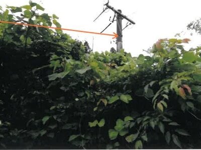 (値下げ) 宮崎県小林市 小林駅28分 戸建て 142万円の競売物件 #28