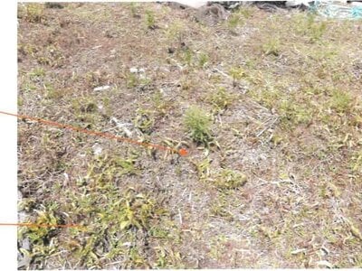 (値下げ) 宮崎県都城市 西都城駅 戸建て 247万円の競売物件 #23