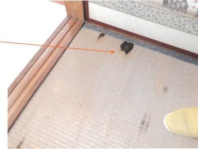 (値下げ) 宮崎県都城市 西都城駅 戸建て 247万円の競売物件 #7