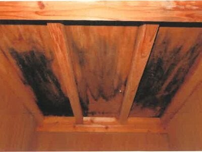 (値下げ) 宮崎県宮崎市 田野駅18分 戸建て 520万円の競売物件 #11