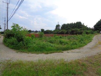 (値下げ) 埼玉県深谷市 武川駅8分 農地 2万円の国税庁公売物件 #1