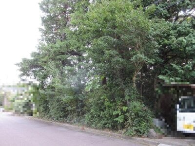 静岡県伊東市 南伊東駅25分 土地 42万円の国税庁公売物件 #2