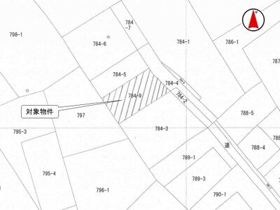 埼玉県日高市 西大家駅20分 土地 68万円の国税庁公売物件 #1