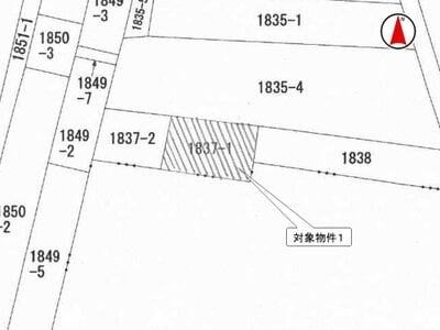 新潟県長岡市 北長岡駅 土地 108万円の国税庁公売物件 #3