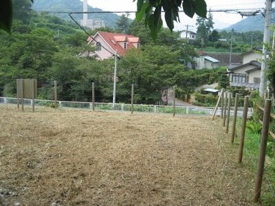 (値下げ) 神奈川県相模原市緑区 相模湖駅 土地 707万円の国有財産物件 #4