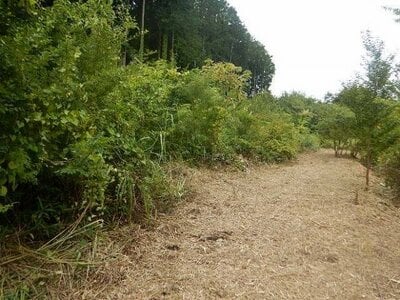 栃木県日光市 下今市駅 土地 513万円の国有財産物件 #4