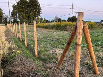 (値下げ) 栃木県那須塩原市 黒磯駅26分 農地 3,830万円の国有財産物件 #3