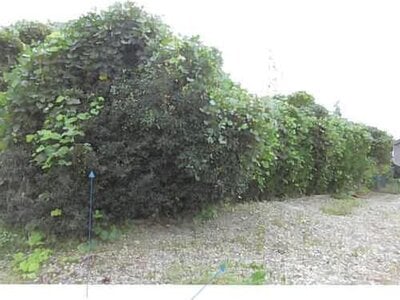 福島県相馬市 相馬駅 戸建て 224万円の競売物件 #3