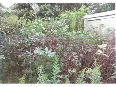 福島県相馬市 相馬駅 戸建て 224万円の競売物件 #8