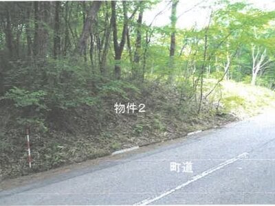 栃木県那須郡那須町 土地 64万円の競売物件 #2