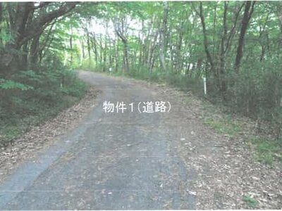 栃木県那須郡那須町 土地 64万円の競売物件 #3